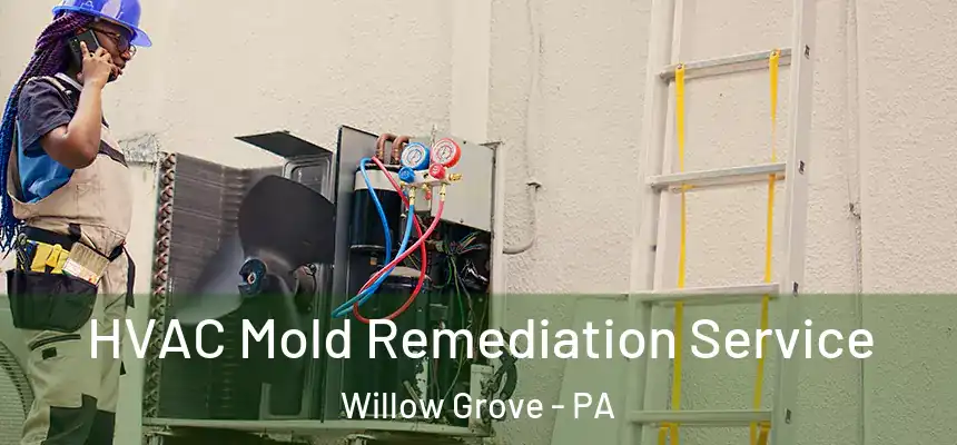  HVAC Mold Remediation Service Willow Grove - PA