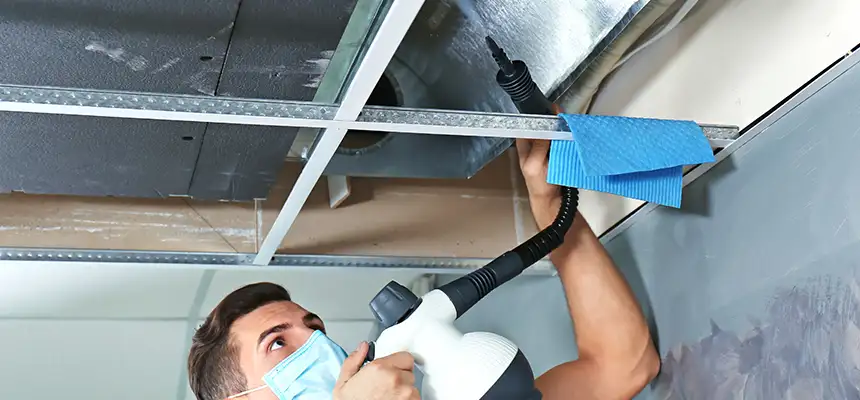 Our Air Duct Rodent Removal Services in Willow Grove, PA