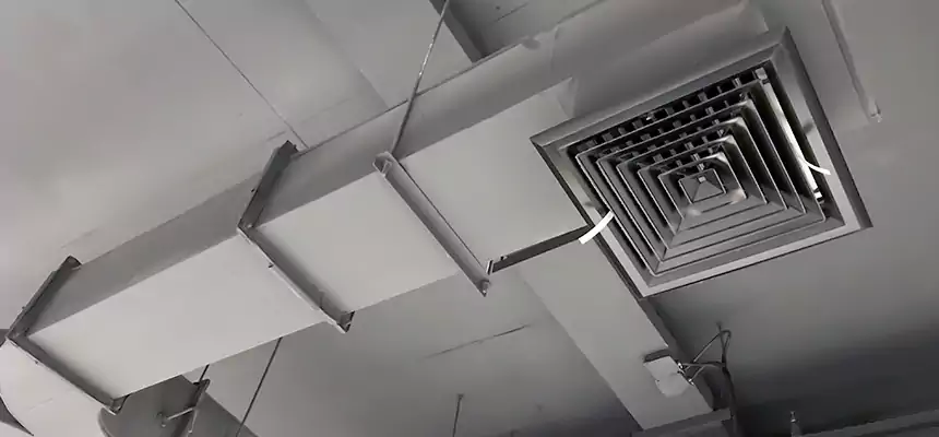 Restorative Allergy Relief Vent Cleaning – Coil, Blower & Housing Detail in Willow Grove