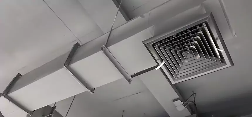 Our Pest Removal From Ducts Services in Willow Grove, PA