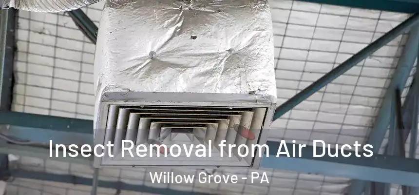  Insect Removal from Air Ducts Willow Grove - PA