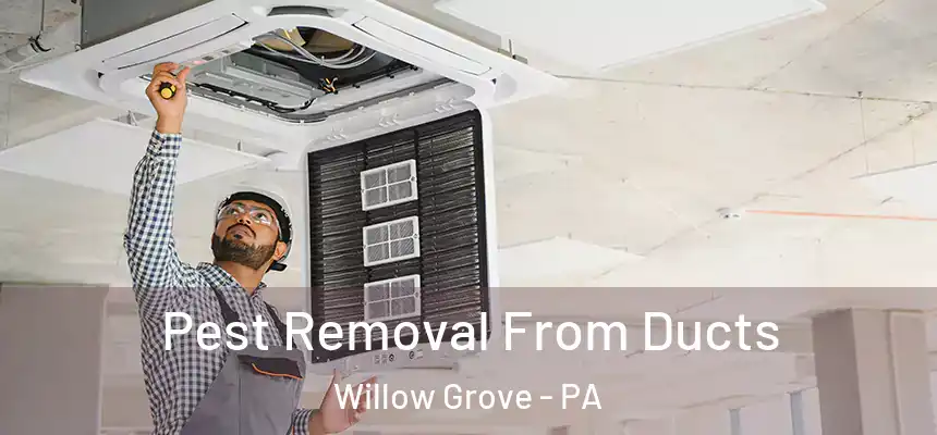  Pest Removal From Ducts Willow Grove - PA