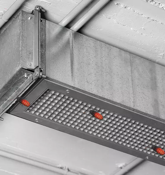 Affordable Insect Removal from Air Ducts in Willow Grove, PA