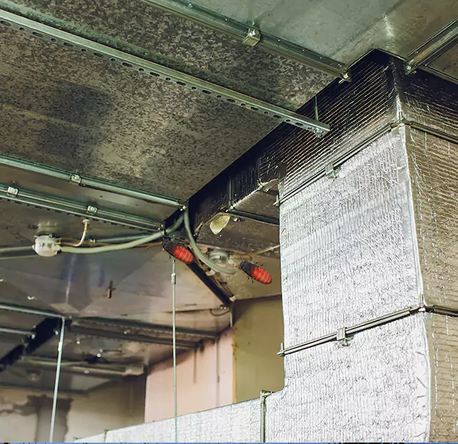 Why Homeowners & Businesses Trust Us Willow Grove, PA?