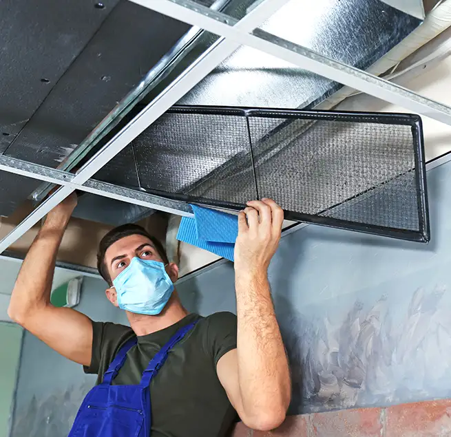 Why Homeowners & Businesses Trust Us in Willow Grove, PA?