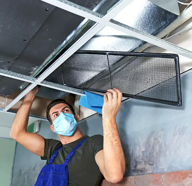 Why Homeowners & Businesses Trust Us in Willow Grove, PA?